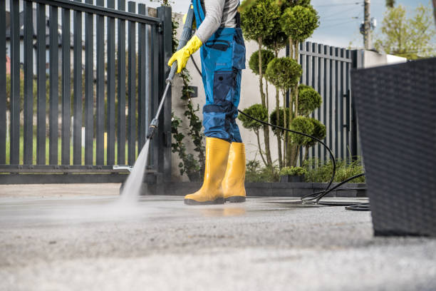 Best Building Exterior Washing  in Prestbury, IL
